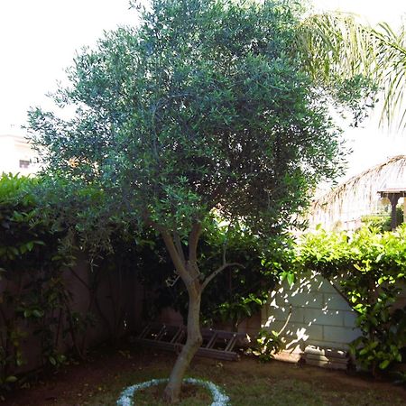 Casa Ulivo Villa Pulsano Luaran gambar